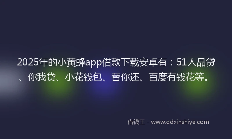 2025年的小黄蜂app借款下载安卓有：51人品贷、你我贷、小花钱包、替你还、百度有钱花等。