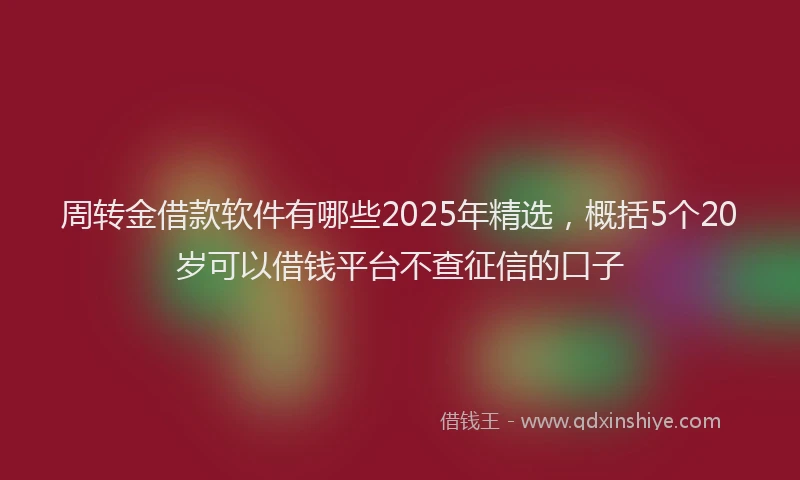 周转金借款软件有哪些2025年精选，概括5个20岁可以借钱平台不查征信的口子