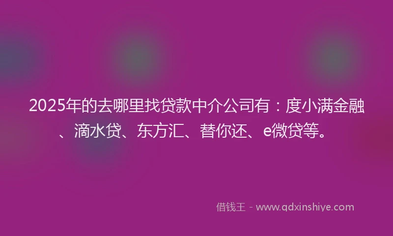 2025年的去哪里找贷款中介公司有：度小满金融、滴水贷、东方汇、替你还、e微贷等。