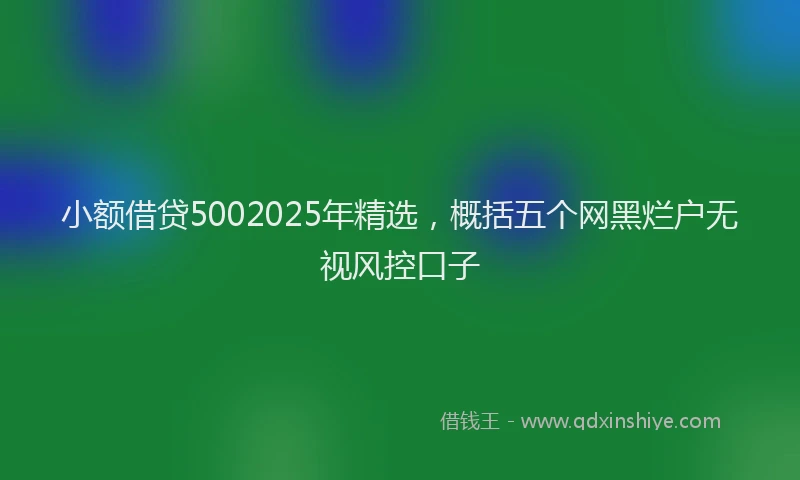 小额借贷5002025年精选，概括五个网黑烂户无视风控口子