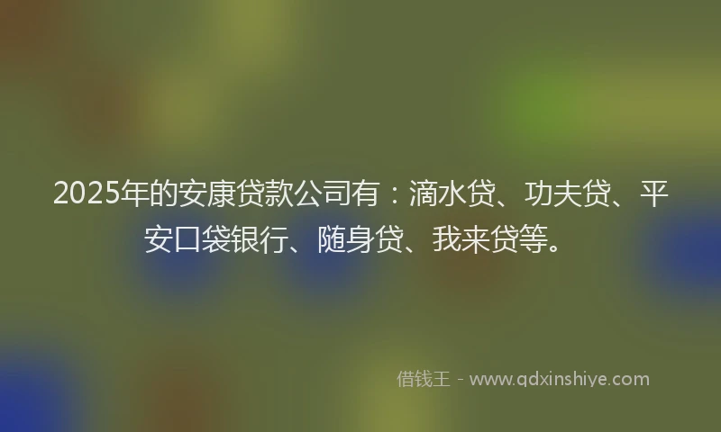 2025年的安康贷款公司有：滴水贷、功夫贷、平安口袋银行、随身贷、我来贷等。