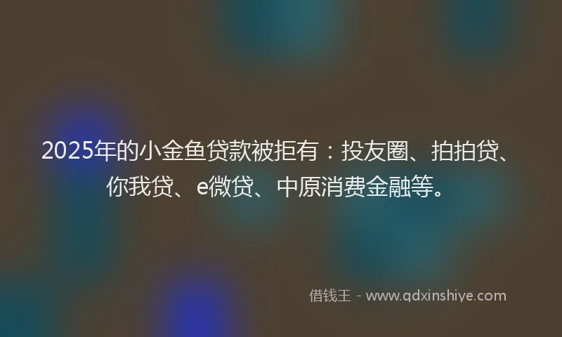 2025年的小金鱼贷款被拒有：投友圈、拍拍贷、你我贷、e微贷、中原消费金融等。