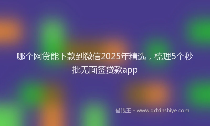 哪个网贷能下款到微信2025年精选，梳理5个秒批无面签贷款app