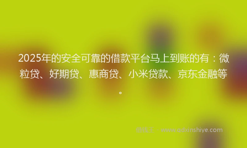 2025年的安全可靠的借款平台马上到账的有：微粒贷、好期贷、惠商贷、小米贷款、京东金融等。