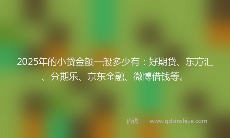 2025年的小贷金额一般多少有：好期贷、东方汇、分期乐、京东金融、微博借钱等。