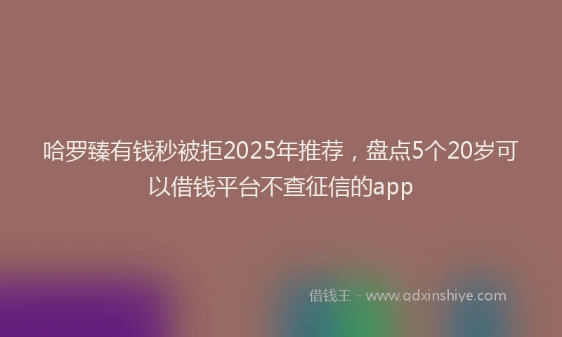 哈罗臻有钱秒被拒2025年推荐，盘点5个20岁可以借钱平台不查征信的app