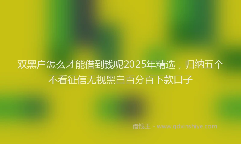 双黑户怎么才能借到钱呢2025年精选，归纳五个不看征信无视黑白百分百下款口子
