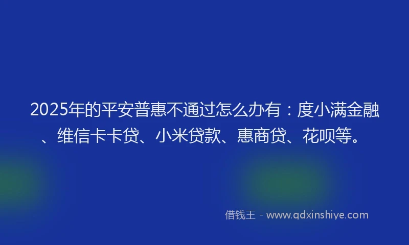 2025年的平安普惠不通过怎么办有：度小满金融、维信卡卡贷、小米贷款、惠商贷、花呗等。