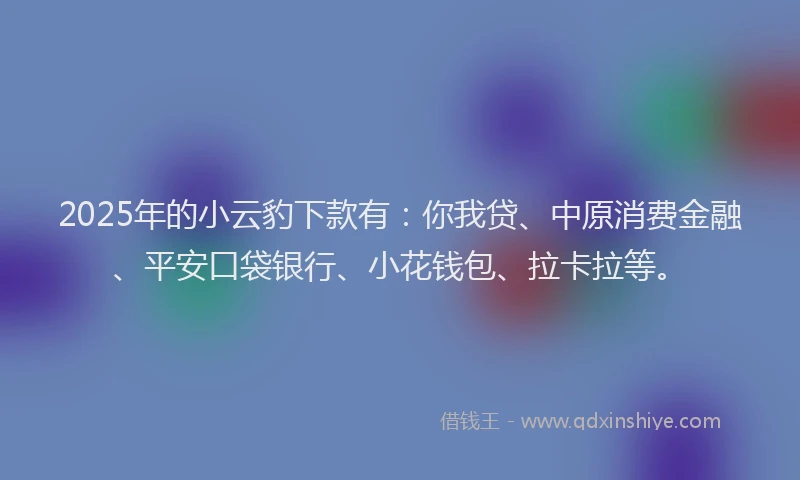 2025年的小云豹下款有：你我贷、中原消费金融、平安口袋银行、小花钱包、拉卡拉等。