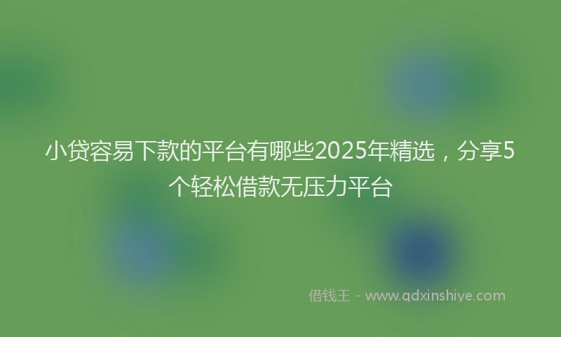 小贷容易下款的平台有哪些2025年精选，分享5个轻松借款无压力平台