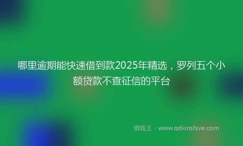 哪里逾期能快速借到款2025年精选，罗列五个小额贷款不查征信的平台