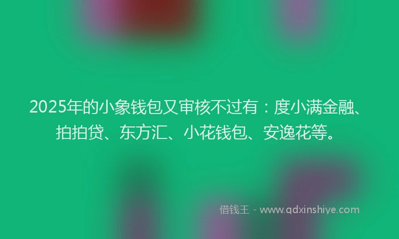 2025年的小象钱包又审核不过有：度小满金融、拍拍贷、东方汇、小花钱包、安逸花等。