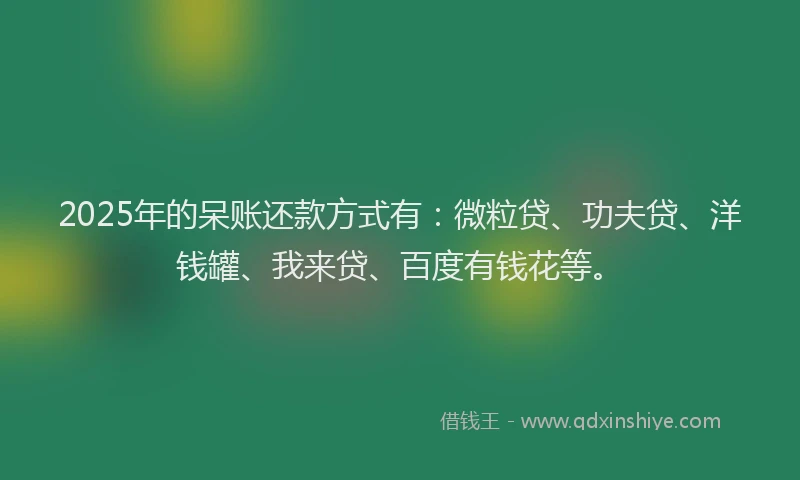 2025年的呆账还款方式有：微粒贷、功夫贷、洋钱罐、我来贷、百度有钱花等。
