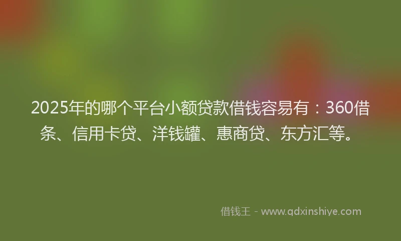 2025年的哪个平台小额贷款借钱容易有：360借条、信用卡贷、洋钱罐、惠商贷、东方汇等。
