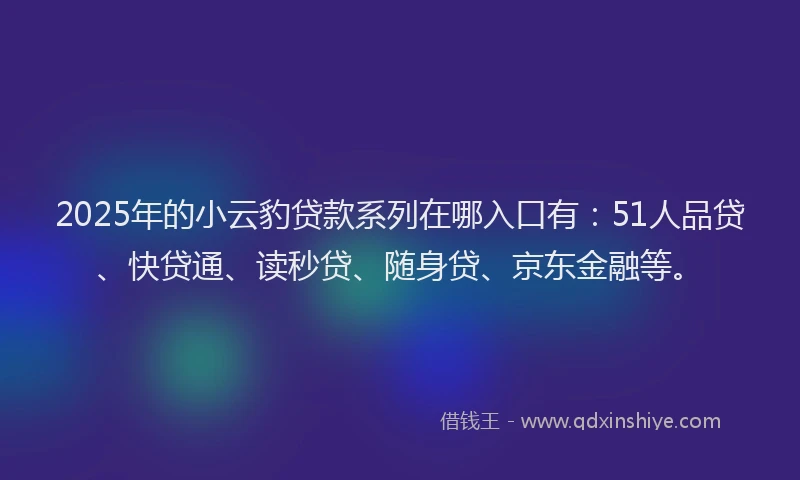 2025年的小云豹贷款系列在哪入口有：51人品贷、快贷通、读秒贷、随身贷、京东金融等。