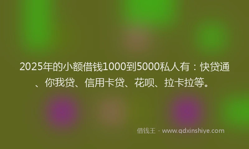 2025年的小额借钱1000到5000私人有：快贷通、你我贷、信用卡贷、花呗、拉卡拉等。