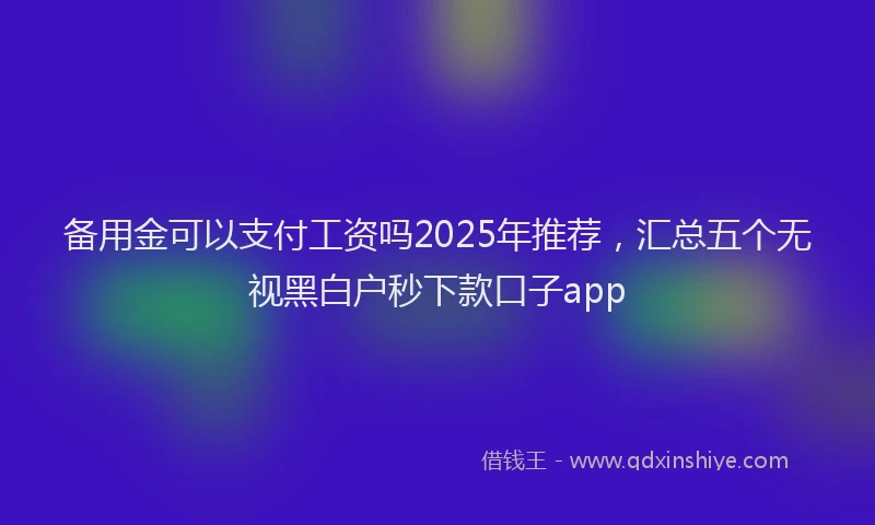备用金可以支付工资吗2025年推荐，汇总五个无视黑白户秒下款口子app