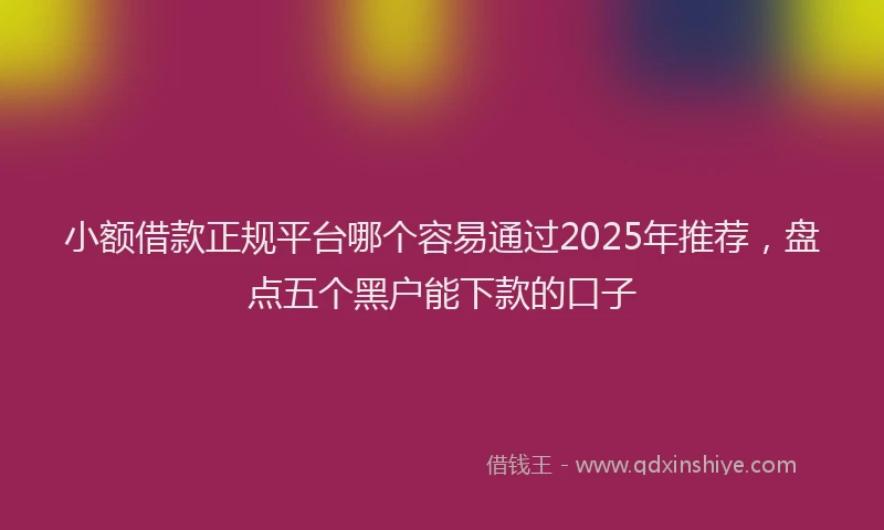 小额借款正规平台哪个容易通过2025年推荐，盘点五个黑户能下款的口子