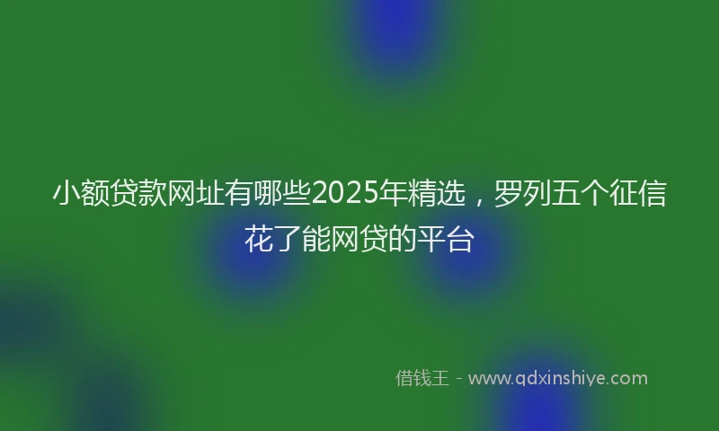 小额贷款网址有哪些2025年精选，罗列五个征信花了能网贷的平台