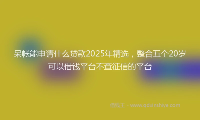 呆帐能申请什么贷款2025年精选，整合五个20岁可以借钱平台不查征信的平台