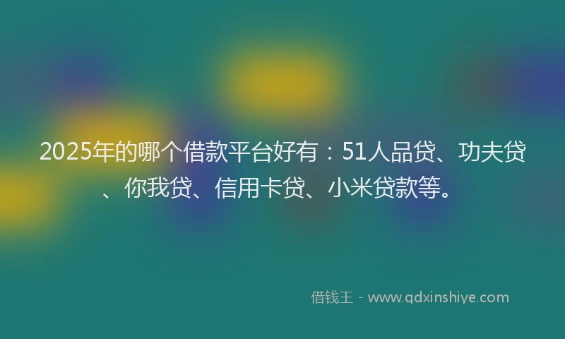 2025年的哪个借款平台好有：51人品贷、功夫贷、你我贷、信用卡贷、小米贷款等。