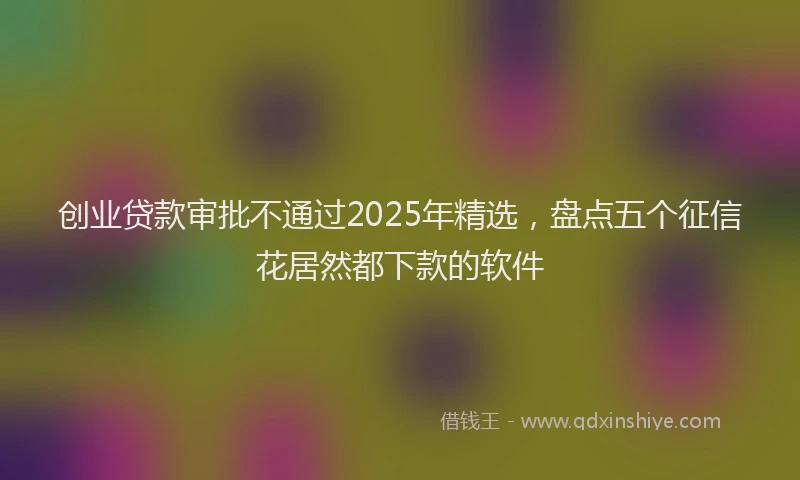 创业贷款审批不通过2025年精选，盘点五个征信花居然都下款的软件