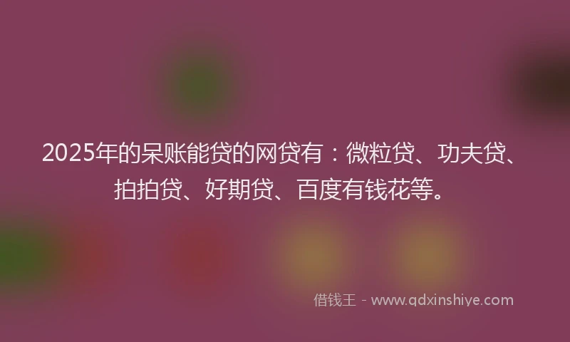 2025年的呆账能贷的网贷有：微粒贷、功夫贷、拍拍贷、好期贷、百度有钱花等。