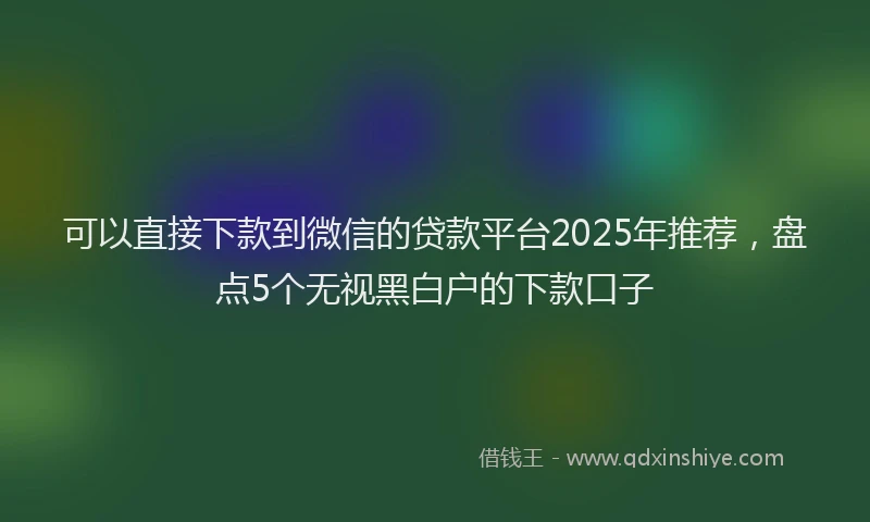 可以直接下款到微信的贷款平台2025年推荐，盘点5个无视黑白户的下款口子