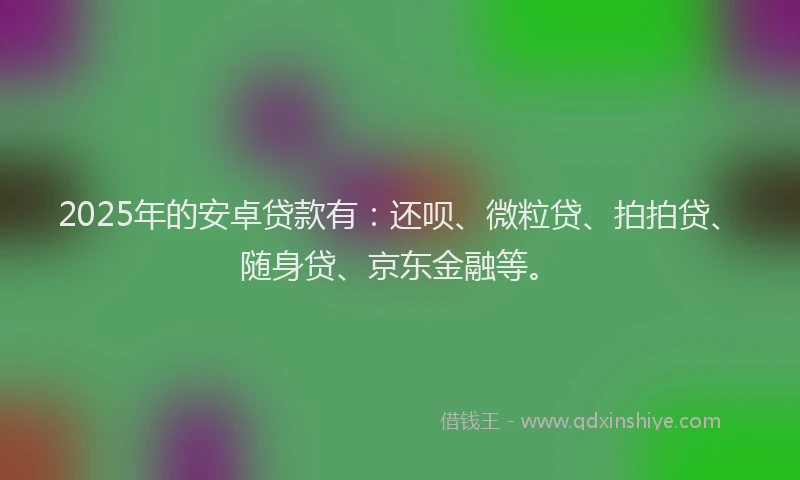 2025年的安卓贷款有：还呗、微粒贷、拍拍贷、随身贷、京东金融等。
