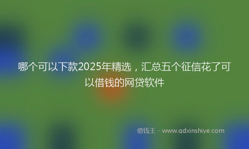 哪个可以下款2025年精选，汇总五个征信花了可以借钱的网贷软件