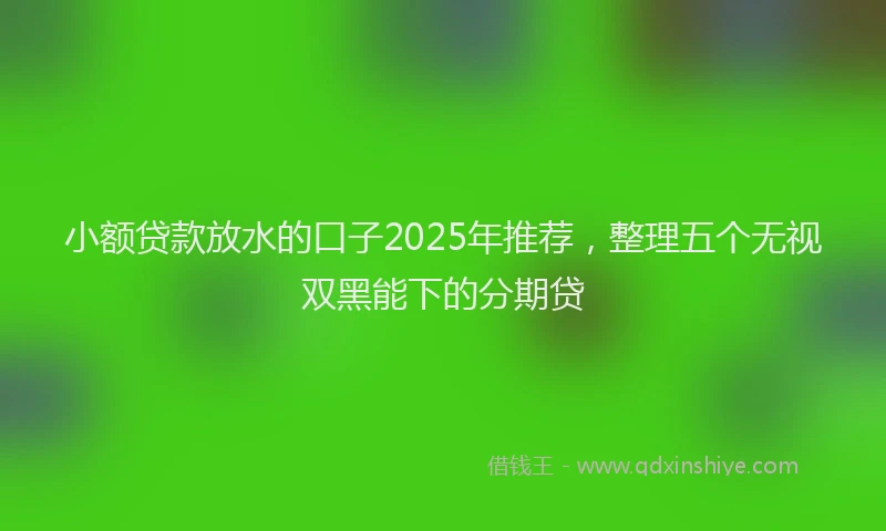 小额贷款放水的口子2025年推荐，整理五个无视双黑能下的分期贷