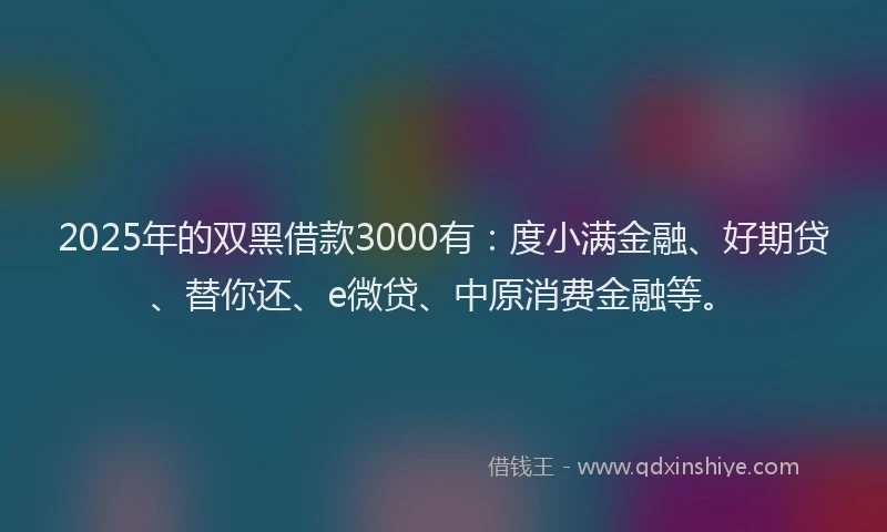2025年的双黑借款3000有：度小满金融、好期贷、替你还、e微贷、中原消费金融等。