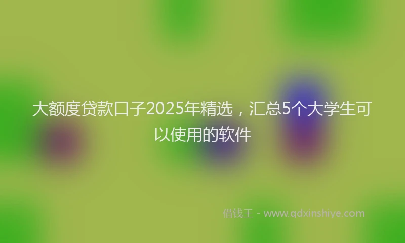 大额度贷款口子2025年精选，汇总5个大学生可以使用的软件
