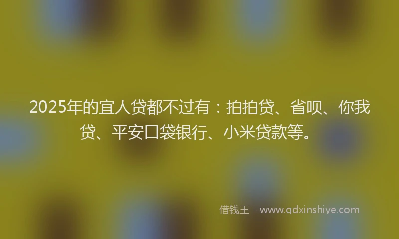 2025年的宜人贷都不过有：拍拍贷、省呗、你我贷、平安口袋银行、小米贷款等。