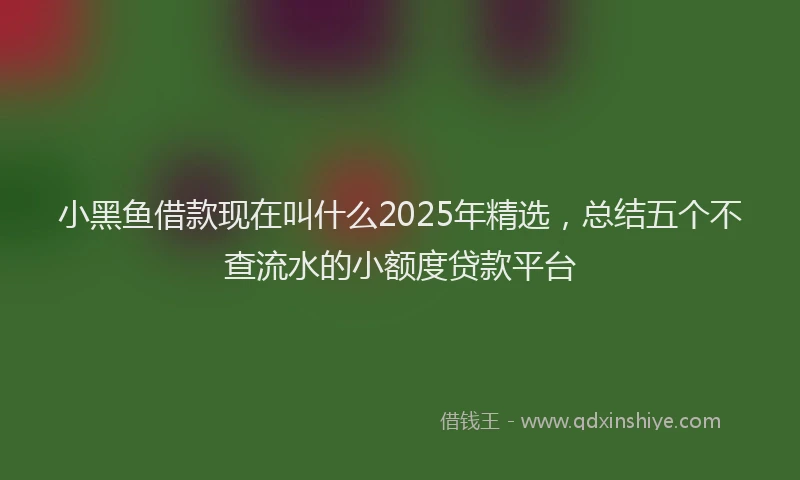 小黑鱼借款现在叫什么2025年精选，总结五个不查流水的小额度贷款平台