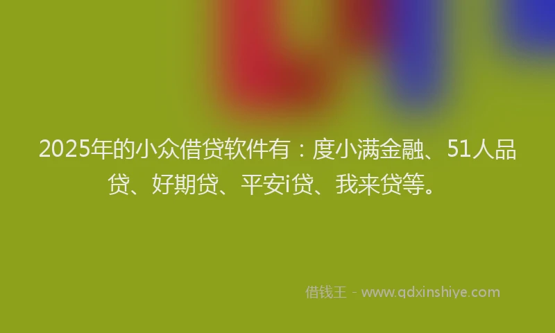 2025年的小众借贷软件有：度小满金融、51人品贷、好期贷、平安i贷、我来贷等。