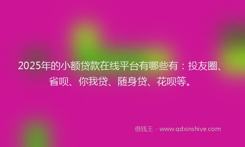2025年的小额贷款在线平台有哪些有：投友圈、省呗、你我贷、随身贷、花呗等。