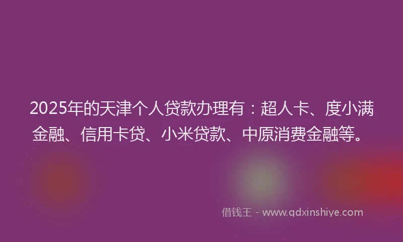 2025年的天津个人贷款办理有：超人卡、度小满金融、信用卡贷、小米贷款、中原消费金融等。