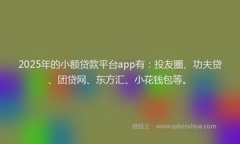 2025年的小额贷款平台app有：投友圈、功夫贷、团贷网、东方汇、小花钱包等。