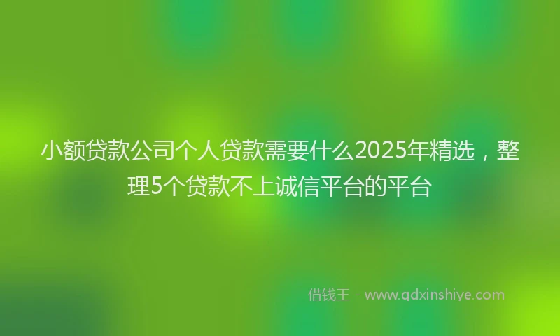 小额贷款公司个人贷款需要什么2025年精选，整理5个贷款不上诚信平台的平台