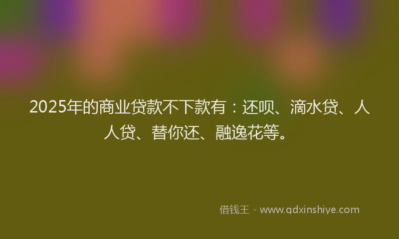 2025年的商业贷款不下款有：还呗、滴水贷、人人贷、替你还、融逸花等。