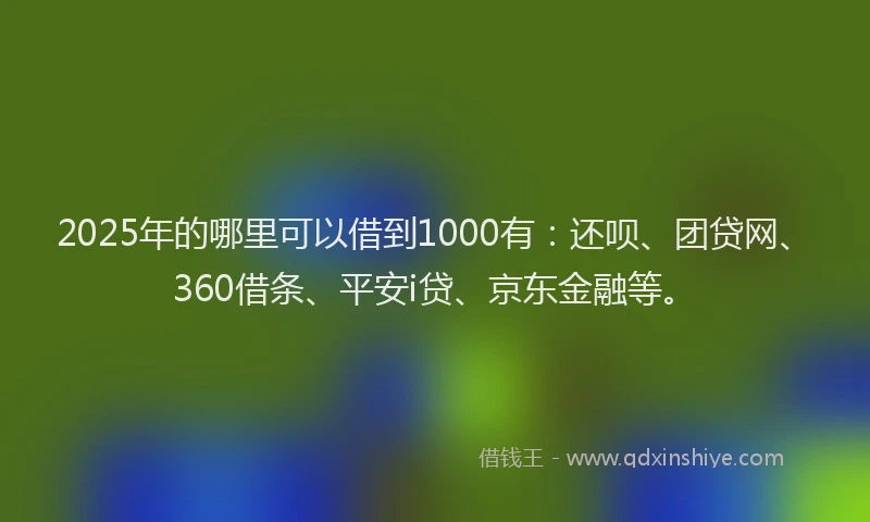 2025年的哪里可以借到1000有：还呗、团贷网、360借条、平安i贷、京东金融等。