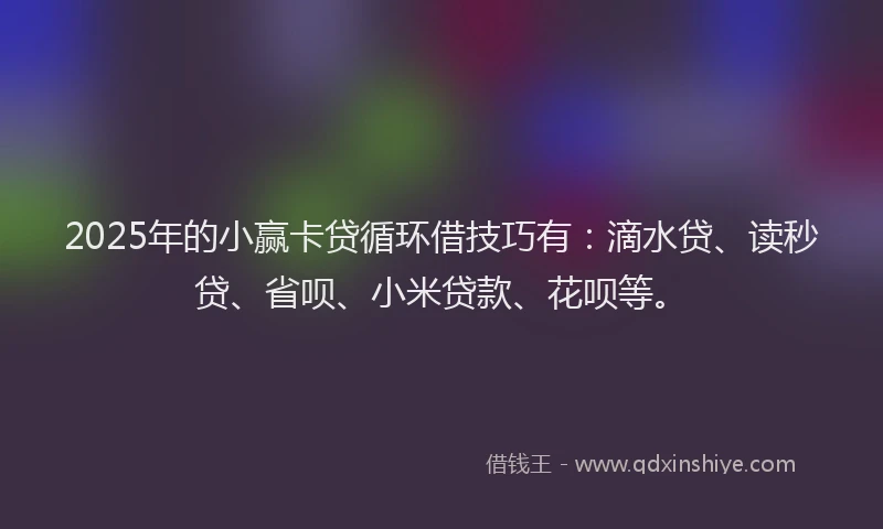 2025年的小赢卡贷循环借技巧有：滴水贷、读秒贷、省呗、小米贷款、花呗等。