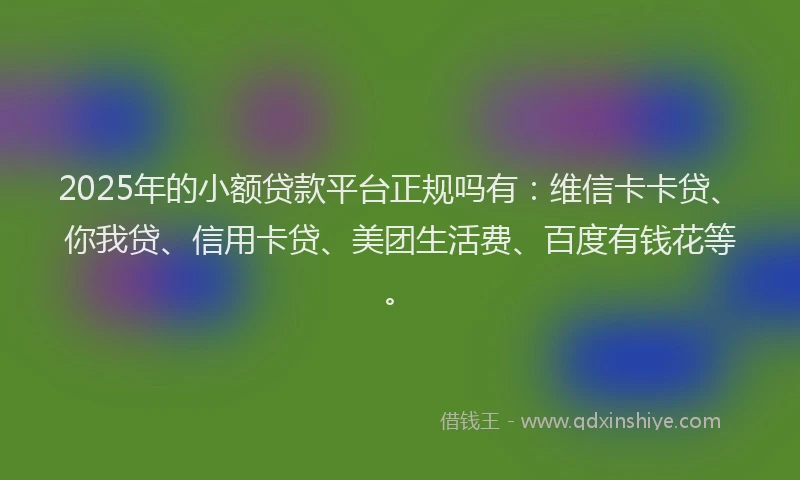 2025年的小额贷款平台正规吗有：维信卡卡贷、你我贷、信用卡贷、美团生活费、百度有钱花等。