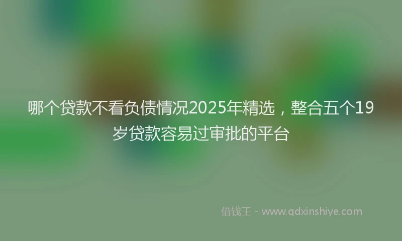 哪个贷款不看负债情况2025年精选，整合五个19岁贷款容易过审批的平台