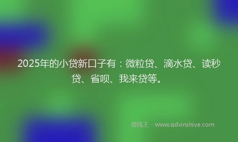 2025年的小贷新口子有：微粒贷、滴水贷、读秒贷、省呗、我来贷等。
