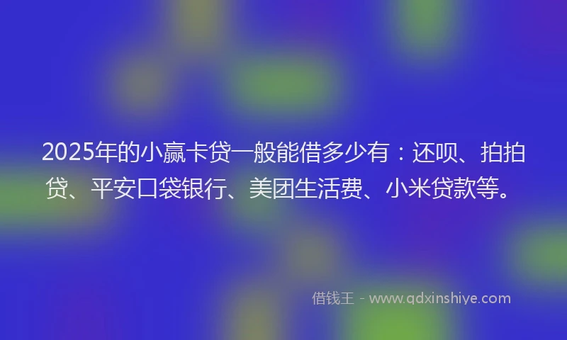 2025年的小赢卡贷一般能借多少有：还呗、拍拍贷、平安口袋银行、美团生活费、小米贷款等。