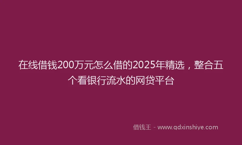 在线借钱200万元怎么借的2025年精选，整合五个看银行流水的网贷平台