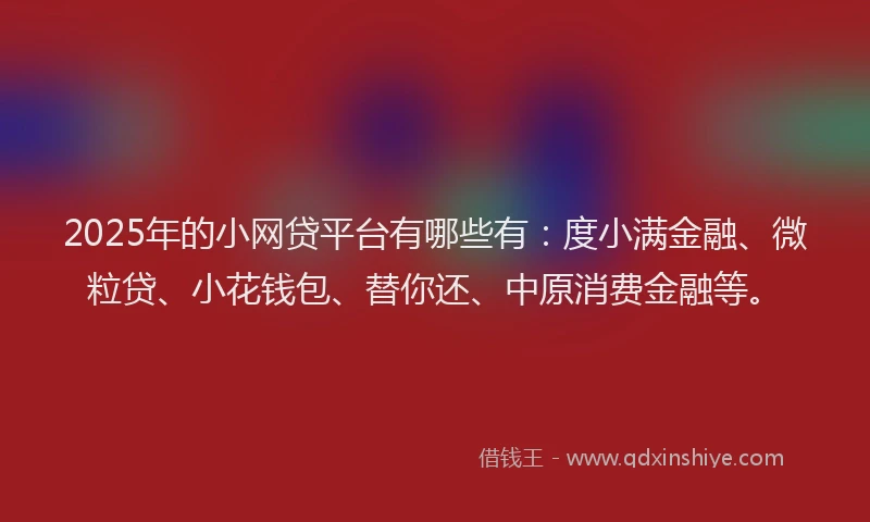 2025年的小网贷平台有哪些有：度小满金融、微粒贷、小花钱包、替你还、中原消费金融等。