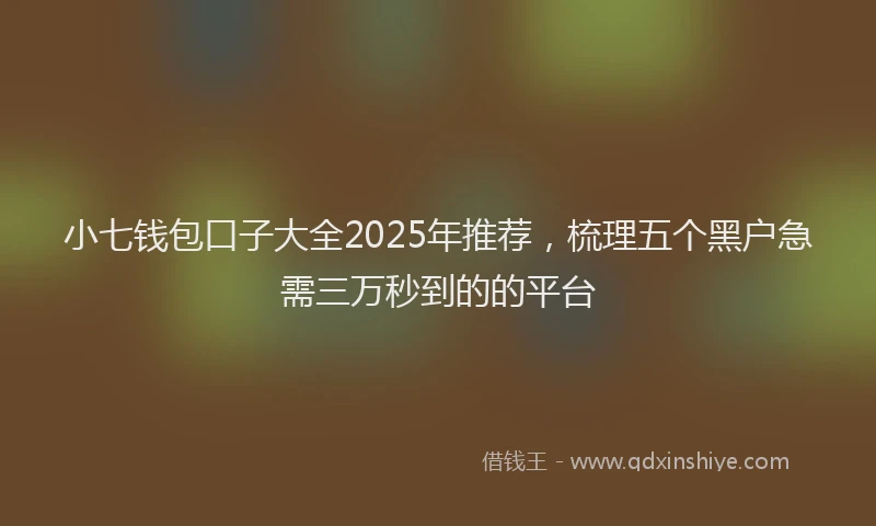 小七钱包口子大全2025年推荐，梳理五个黑户急需三万秒到的的平台